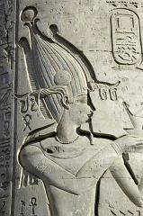 Kom OmboIMGP5230